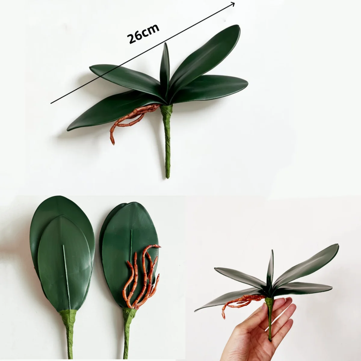 Thumbnail 4 - #31 Latest Vase Fillers Offers