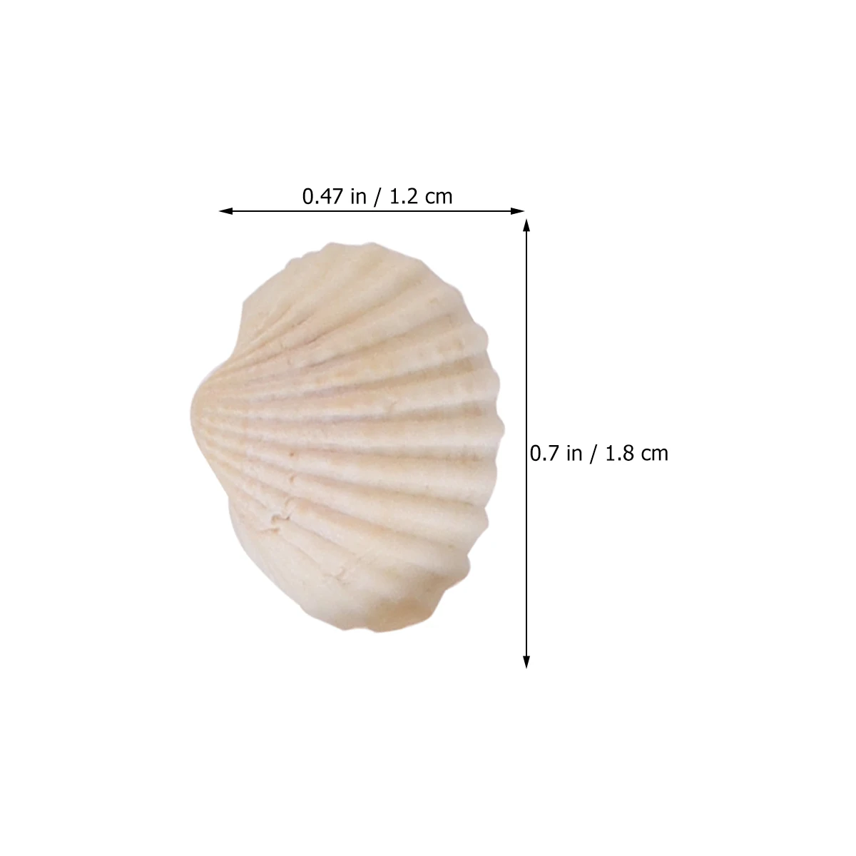 

100 pcs Natural Shell Ornaments Scallop Accessories for DIY Pendant Jewelry Small Decor White Color Plastic Bottle Container