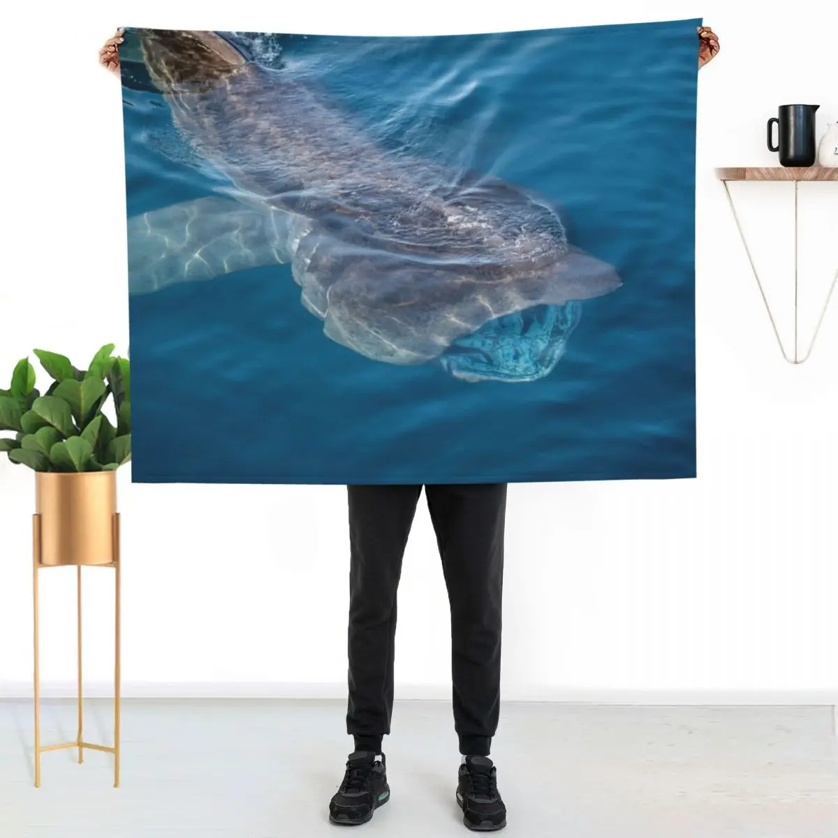 Basking Shark, West Cork, Ireland Throw Blanket Kid'S christmas gifts Bed covers Blankets For Baby Designers Blankets