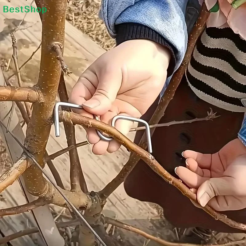 50pcsFruit Tree Branch Bender Tool Kit, Manual Branch Bending Tools For Shaping & Spreading, Orchard Plant Growing Tools