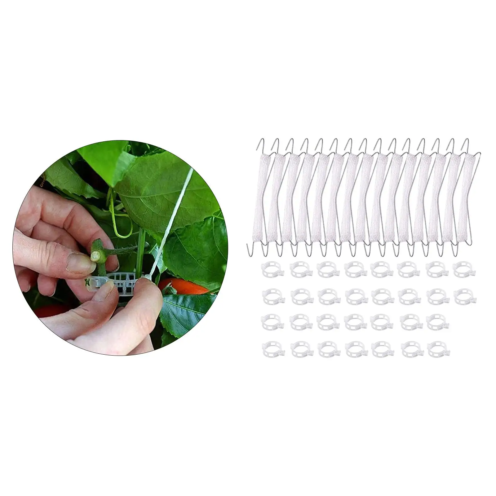 

15PCS Tomato Support Double Hooks Planting Tomato Hooks Vegetable Clamps Plant Vine Tie Support Tool for Garden Flower