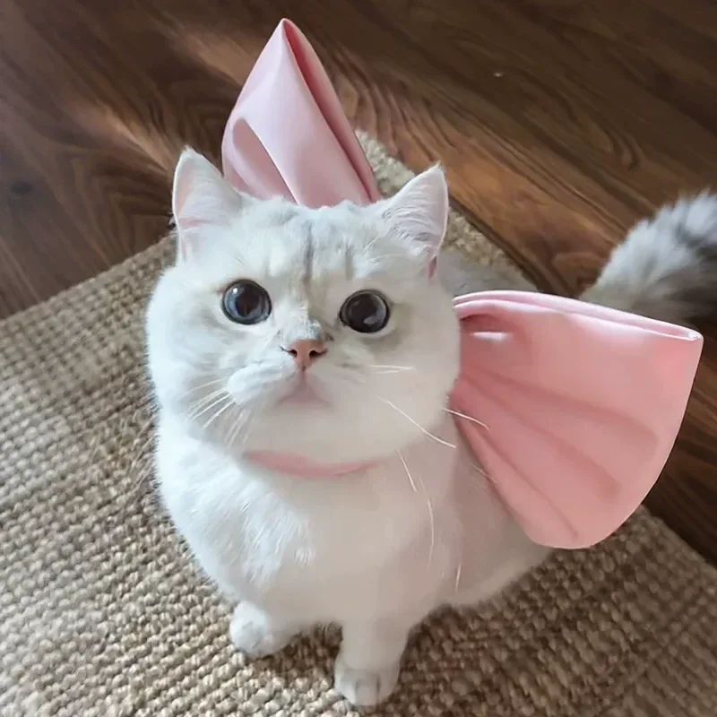 Adjustable Cat Collar with Large Bow Tie Cute Princess Style Pet Necklace Summer Breathable Kitten Accessories Ornament