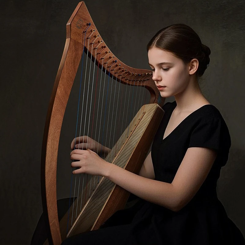 Solid Wood Harp 19 Strings Portable Arpa Beginner Traditional Lyres Adult String Instrument Professional Musical Instruments