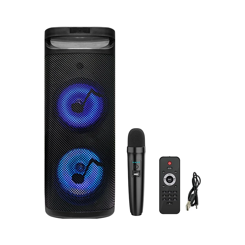 

Уличная портативная акустическая система с питанием BT DJ Par, двойные 10-дюймовые динамики
