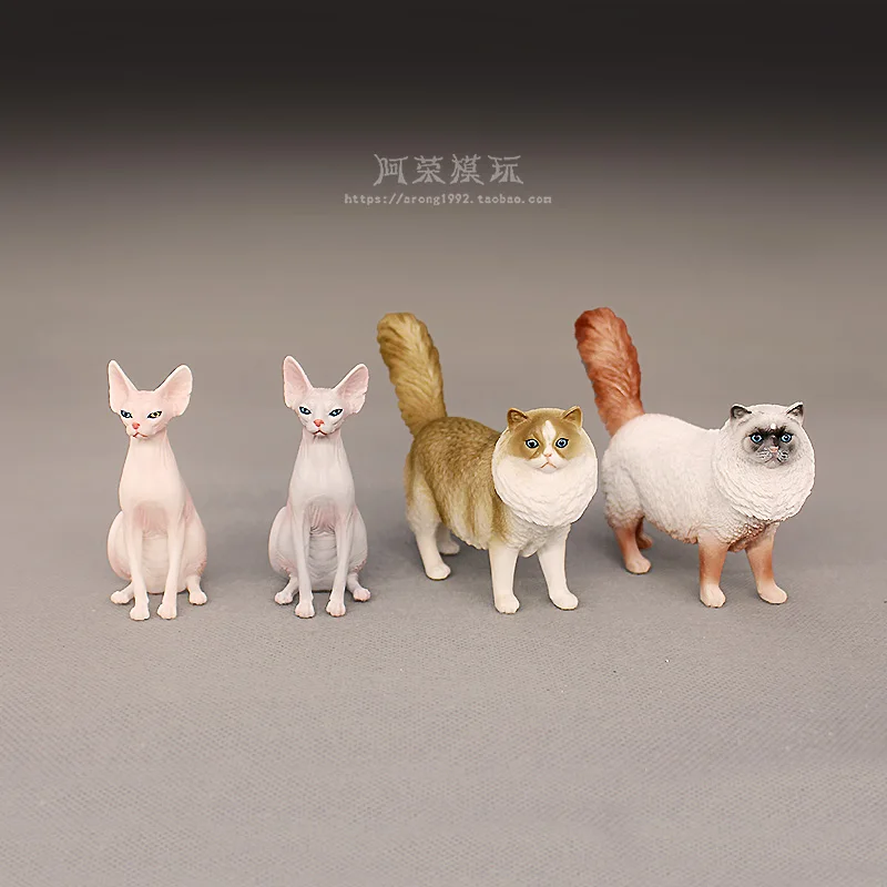 Simulazione cognitiva Pet Cat Modello animale Sphynx Cat Gatto senza peli Ragdoll Action Figures Accessori per ornamenti Giocattoli in miniatura
