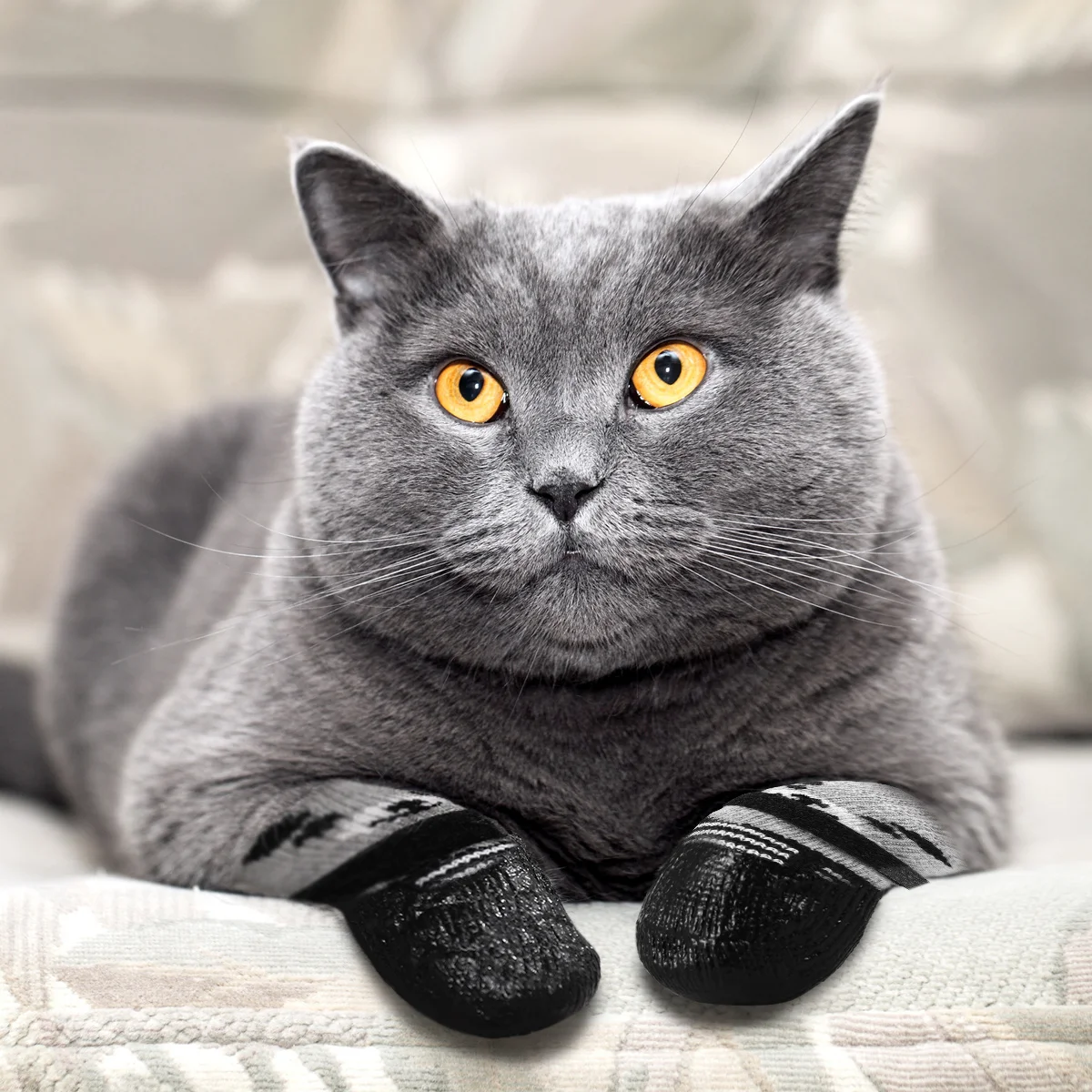 4 قطعة الحيوانات الأليفة عدم الانزلاق جوارب قطنية الكرتون طباعة أسود حجم م داخلي في الهواء الطلق المضادة للانزلاق باو حماية جوارب للحيوانات الأليفة الكلب القط