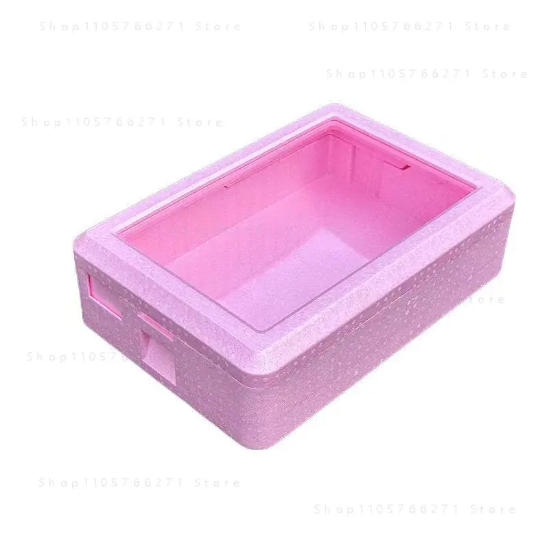 Portable Insulated Foam Cooler Box with Transparent Cover - Tiramisu Mold Storage & Food Fresh-Keeping Container