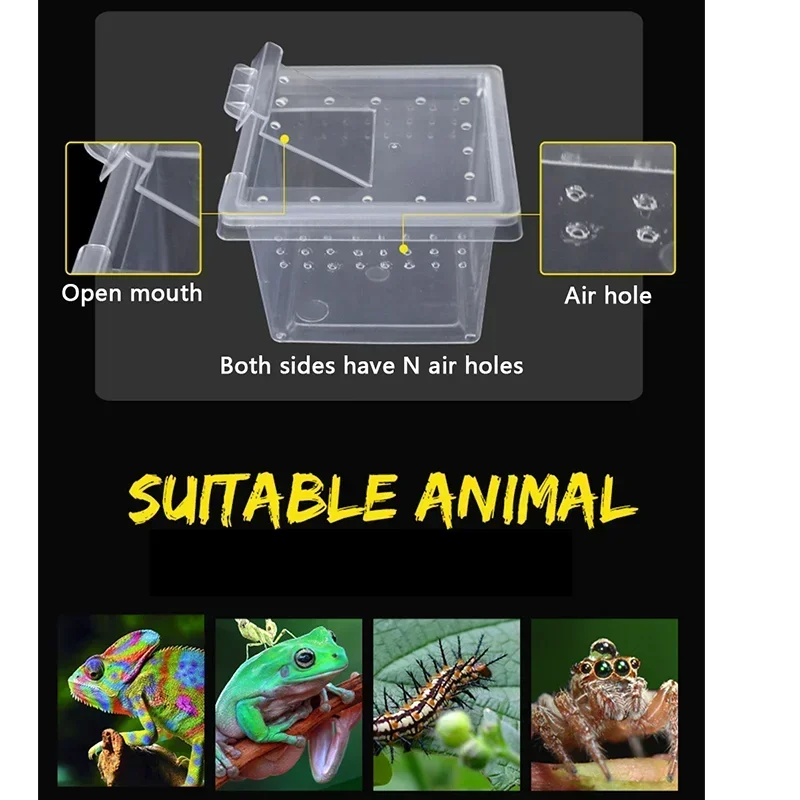 Plastic Reptile Breeding Box Transparent Terrarium Habitat Insect Spider Lizard Scorpion Feeding Box Arboreal Enclosure Case