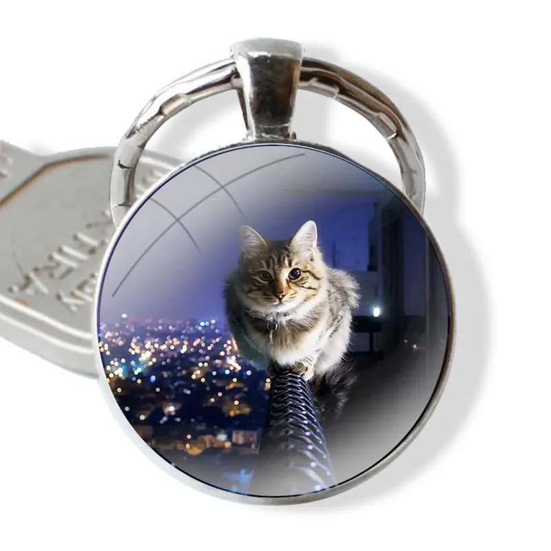 pet maine coon cat Keychain Handmade Glass Cabochon Key Ring Holder Pendant Key Chains