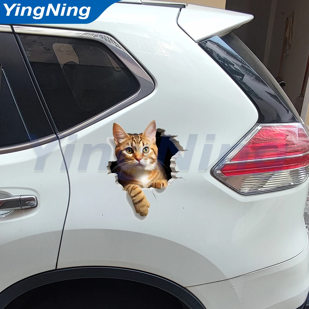 

3D Realistic Cat Car Stickers Waterproof Vinyl Auto Body Decals Scratch Hidden Sticker Funny Animal Car Styling Accessories