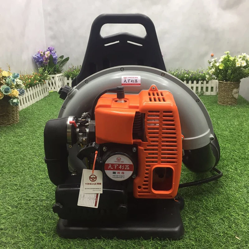 

Two-Stroke Gas Blower B650 Leaf Vacuum Backpack High-Power Snow Blower Park Deciduous Road Dust Removal Wind Fire Extinguisher