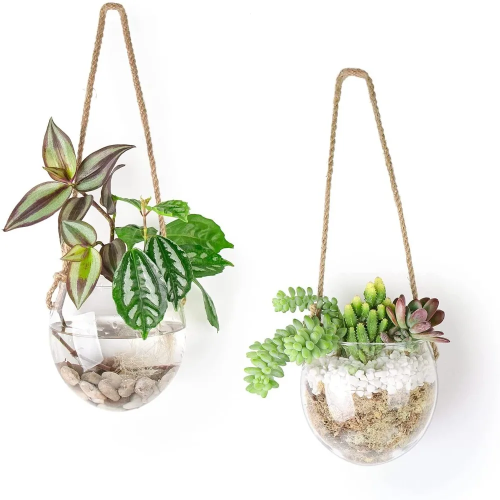 

Transparent Hydroponic Hanging Vase Exquisite Glass Wall Mounted Vase Handmade Flower Arrangement Bottle Garden Office Decor