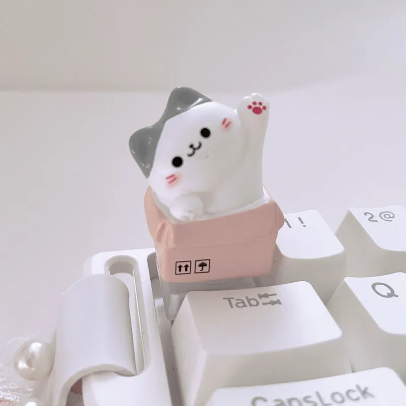 Paper Box Kitten Ke…