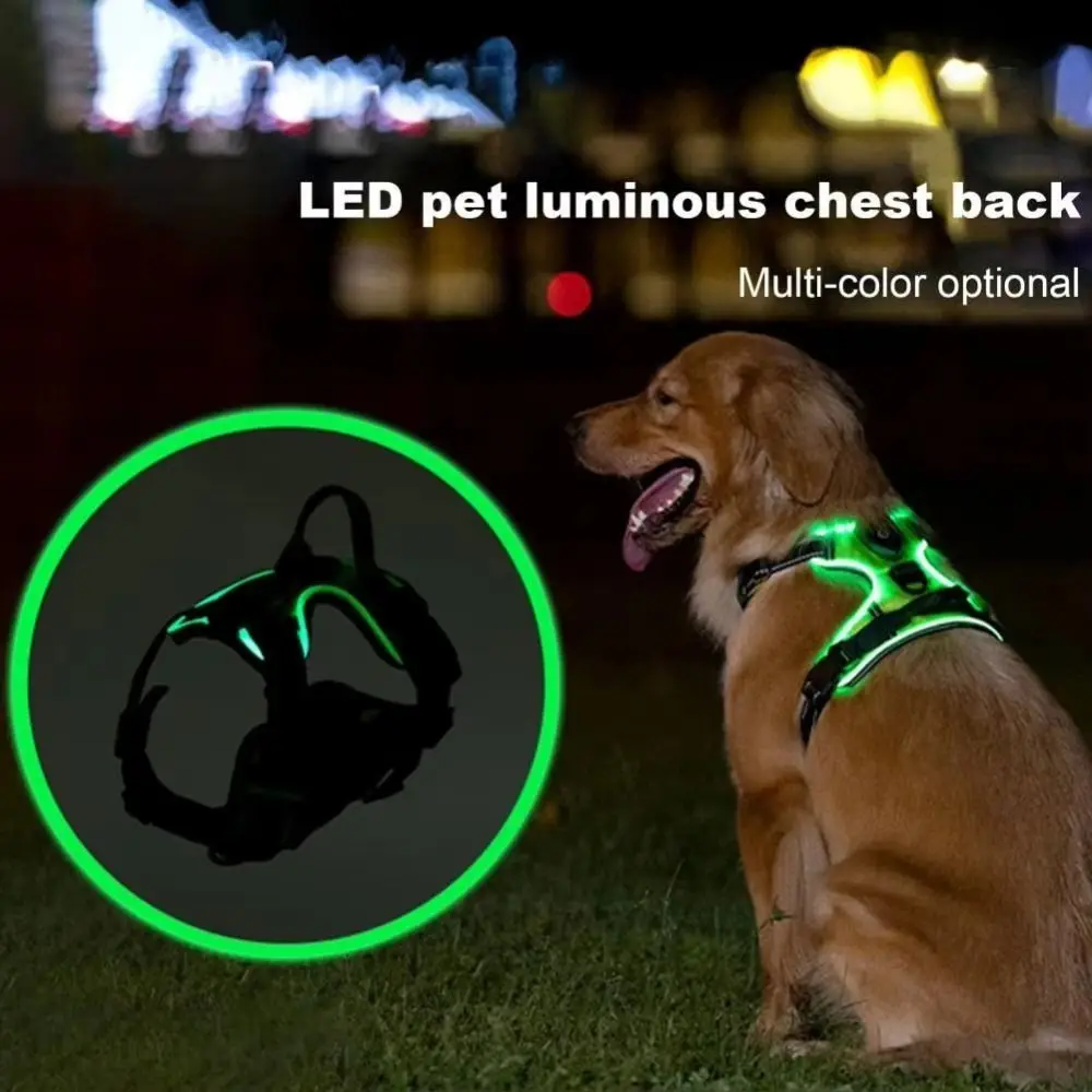 Colar Ajustável com Luz LED