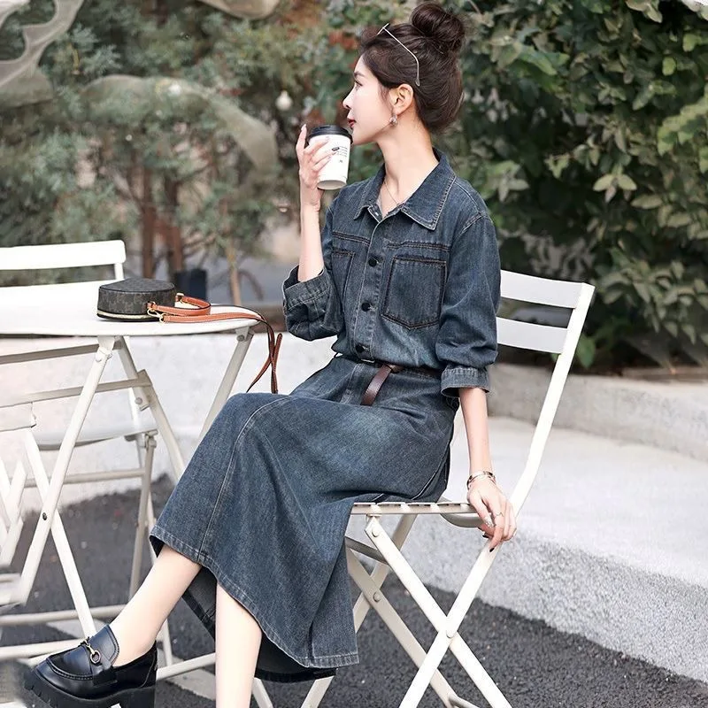 Denim jurk dames lente en herfst nieuw temperament hoog gevoel kleine mode buitenlandse stijl vroege lente shirt rok mooi