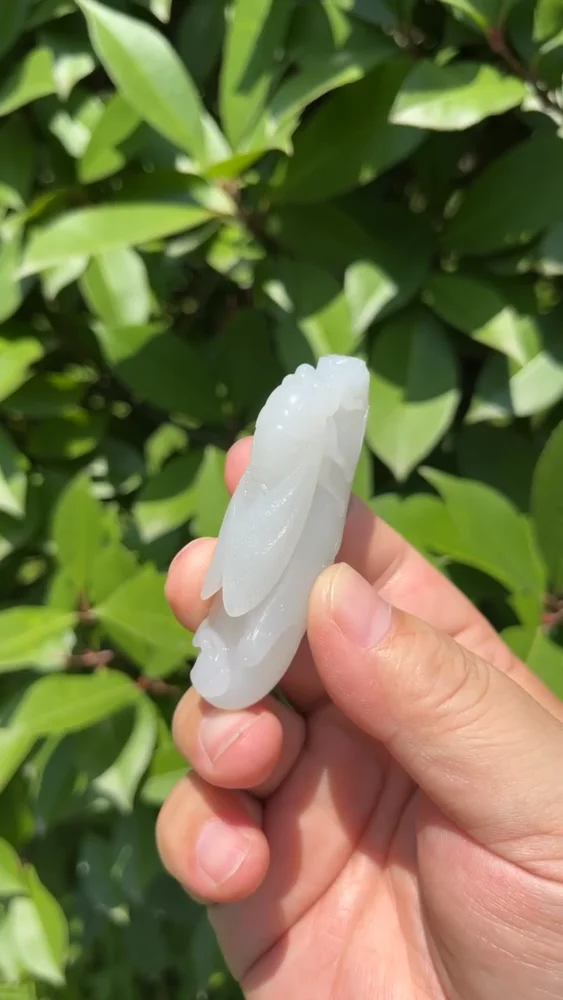 CERTIFIED 40g 100% NATURAL XIN JIANG HOTAN WHITE JADE HAND CARVED CICADA PENDANT