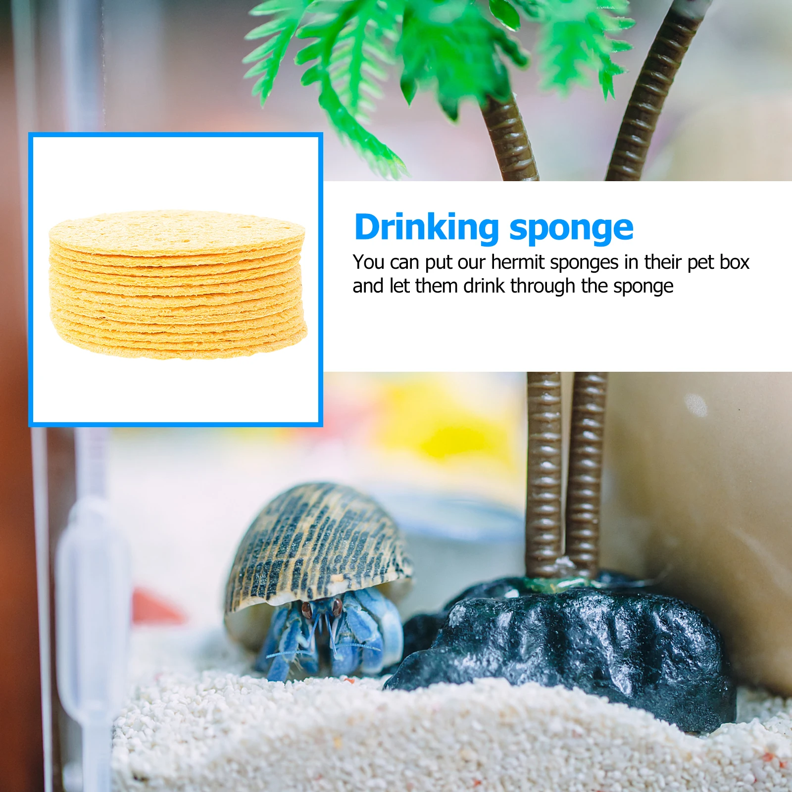 

12Pcs Hermit Crab Sponges Humidity Maintenance Sponge Crab Habitat Water Absorbent Cleaner Supplies Cleaning Sponge