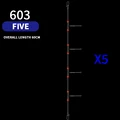 603 (5)