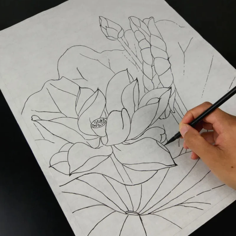 

Professional Brushwork Line Drawing Paper Line Draft Rice Xuan Paper Practice Coloring Peony Hook Line Copying Painting Paper