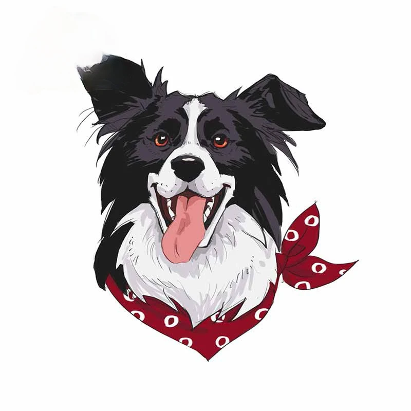 13/17cm Border Collie Car Stickers Graffiti Decal Windshield Waterproof Sticker Occlusion Scratch K55#