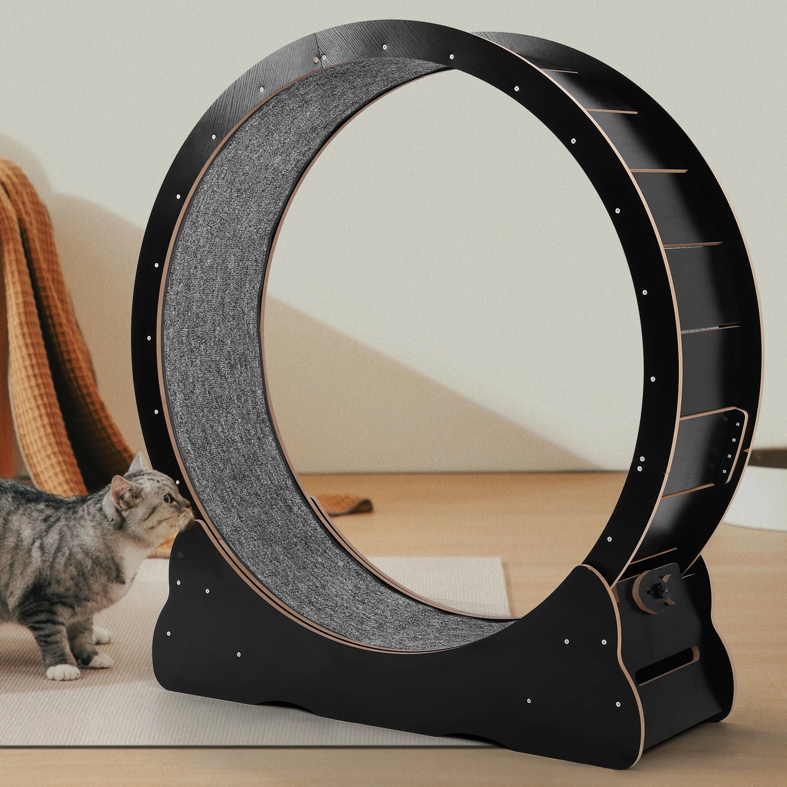 Rueda de Ejercicio para Gatos, - Cat Running Wheel Exercise Treadmill reseña y precio