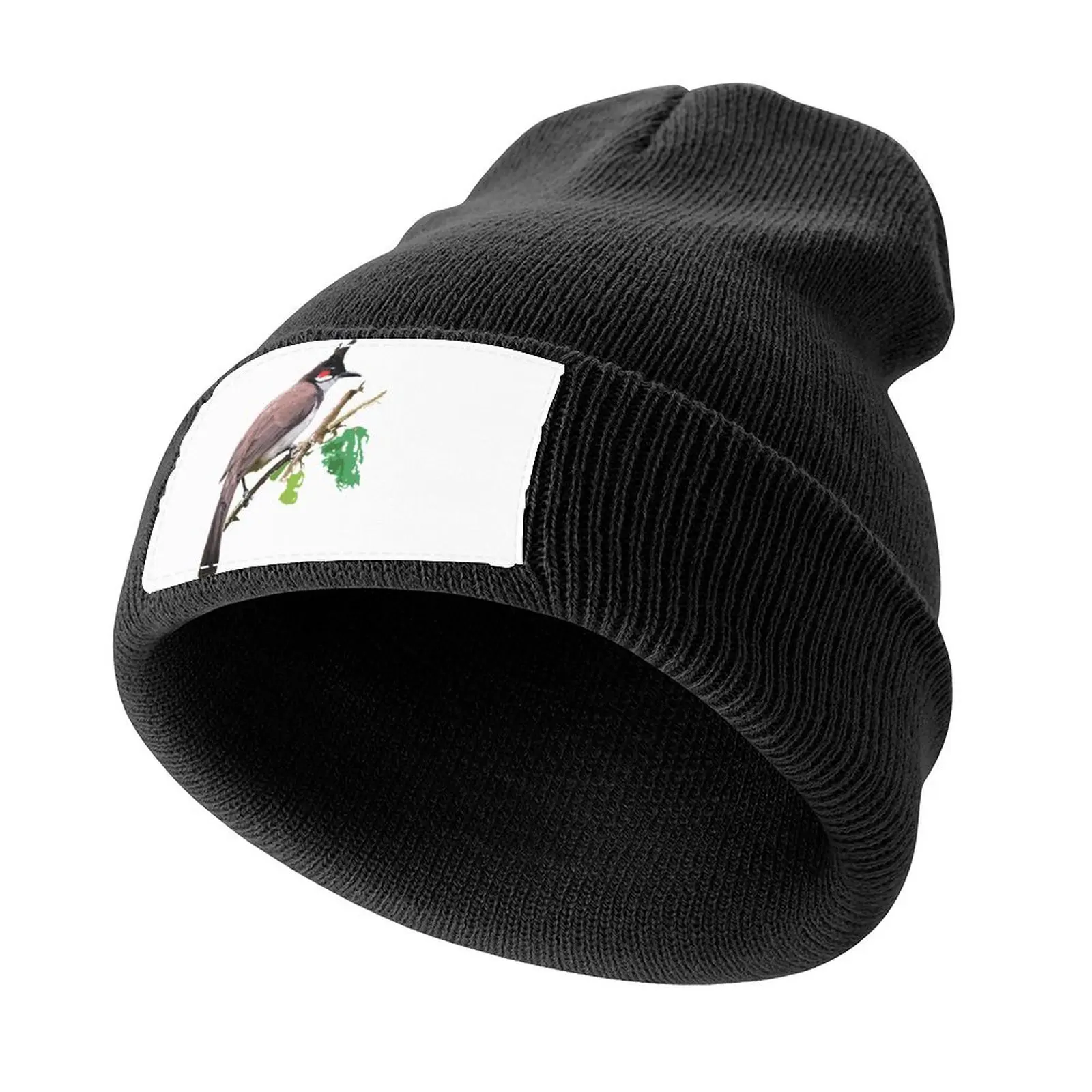 Red-whiskered or crested Bulbul Knitted Cap New In Hat Beach Outing Rugby Hood Man Women's