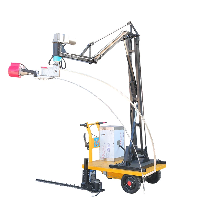 High Quality Competitive Price Pole Hedge Trimmer Shears Bush Trimmer with CE Approval