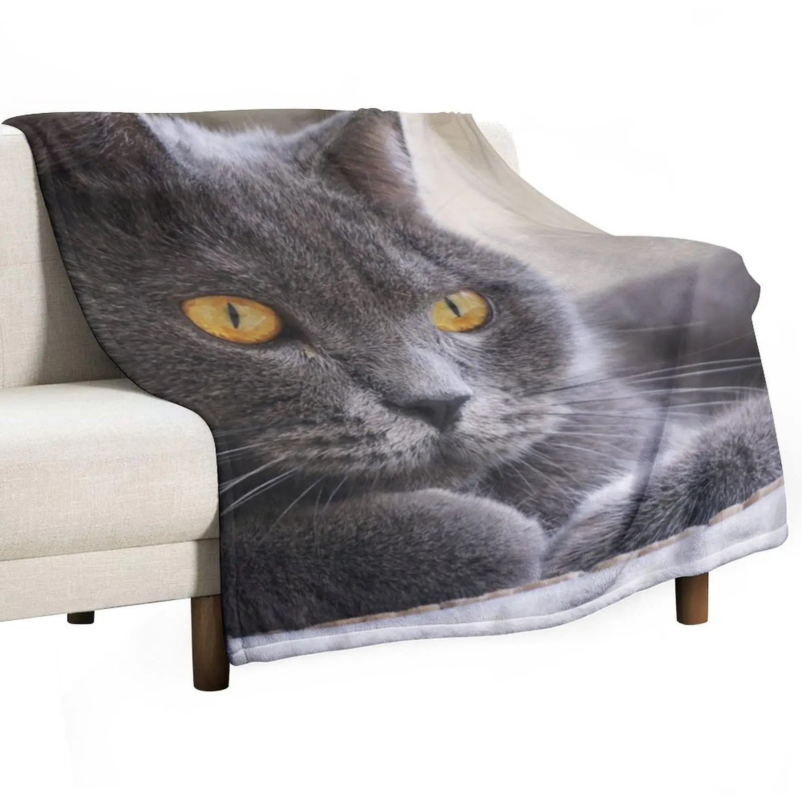 

British Shorthair Cat Throw Blanket Winter beds Summer Blankets