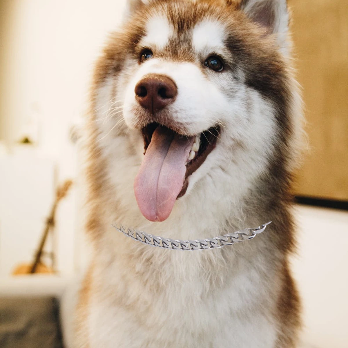 

Dog Hauling Cable 16 Inch Stainless Steel Rope Metal Belt for Pets Comfortable Grip Durable Practical Gift Silver