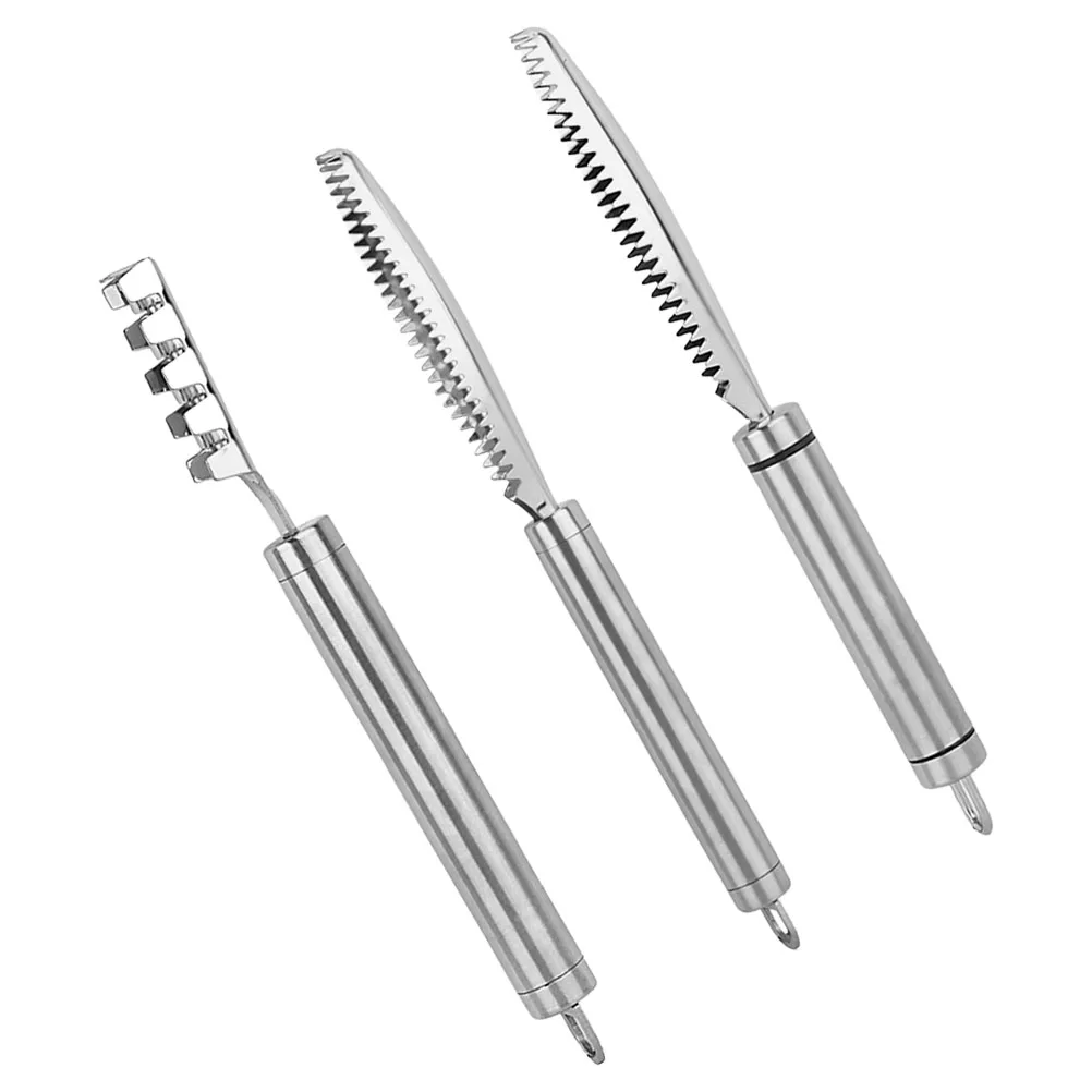 

3pcs Scale Remover Stainless Steel Manual Fish Scaler Kitchen Tool Rust Resistant Multi Use Household Commercial Seafood