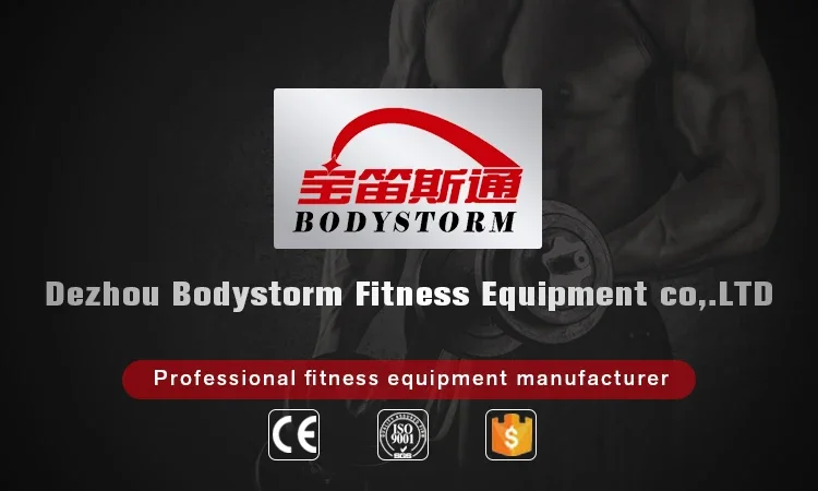 Commercial Gym Equipment  Best-selling Wholesale Pin Loaded Hammer Fitness Equipment Seated Leg Extension & Curl