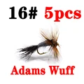 Adams Wuff