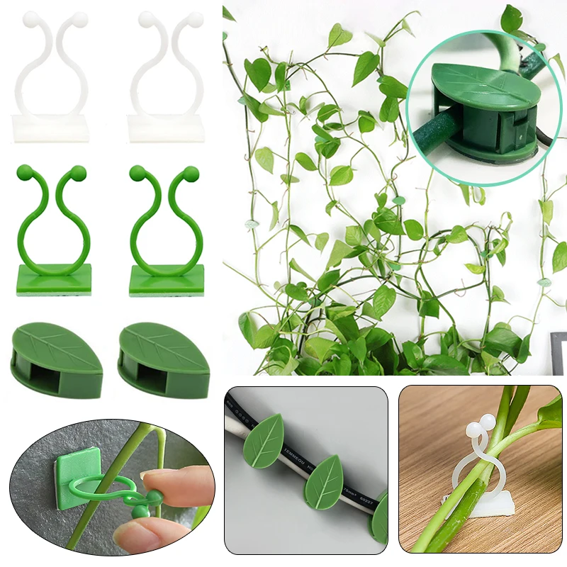 

Plant Climbing Wall Fixture Clip Rattan Vine Fixer Self-Adhesive Hook Invisible Garden Binding Wall Sticky Holder Bracket Buckle