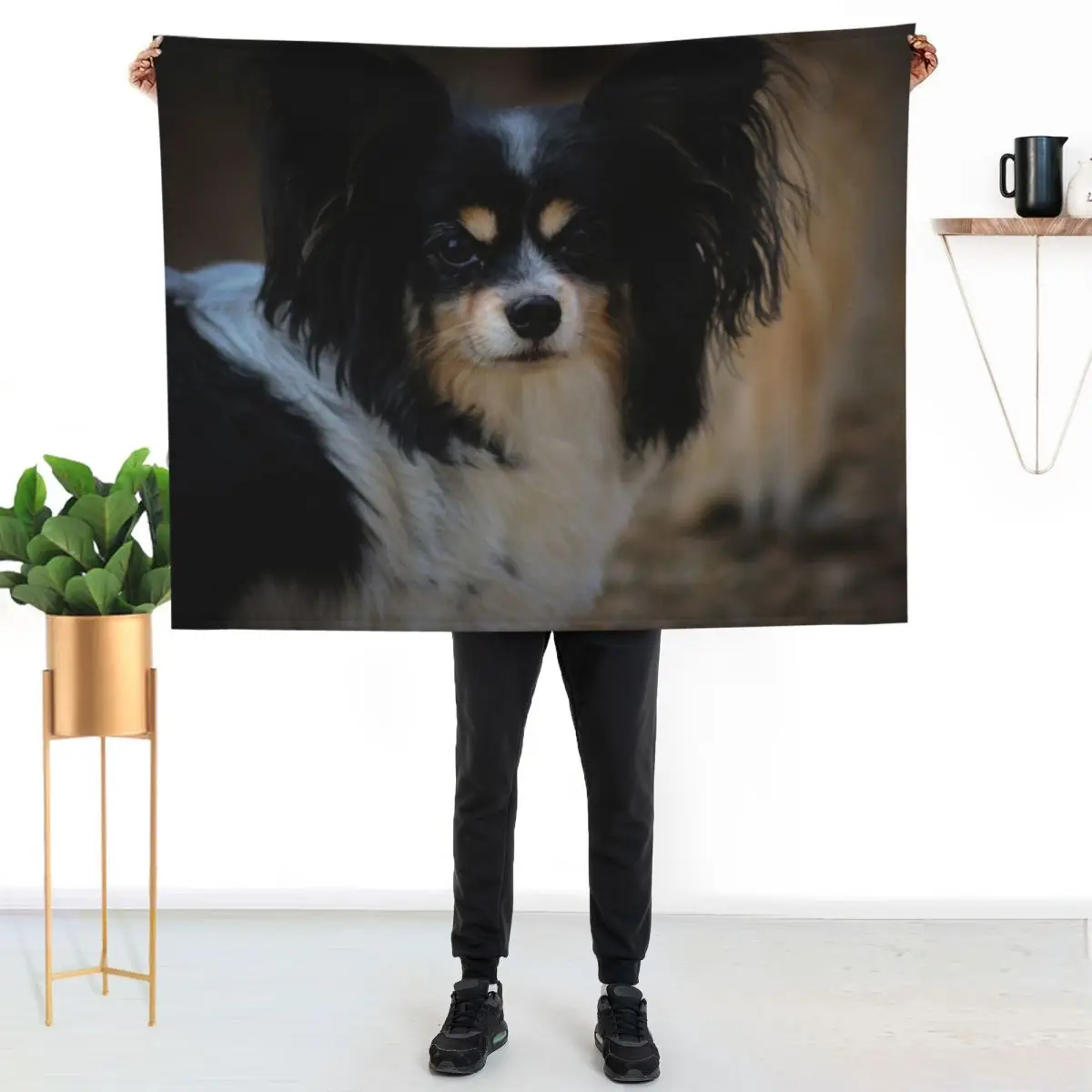 Papillon dog Throw Blanket Furry Decoratives Beautifuls decorative Custom christmas decoration Blankets