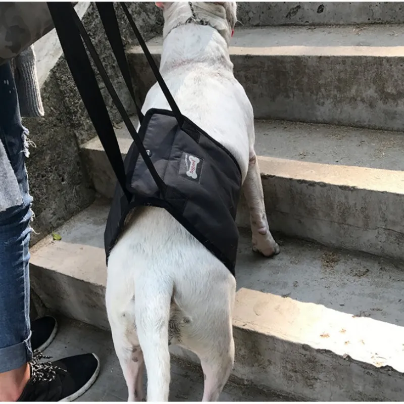 Portable Dog Sling For Back Legs Hip Support Harness to Help Lift Dogs Rear For Canine Aid and Old Dog Ligament Rehabilitation