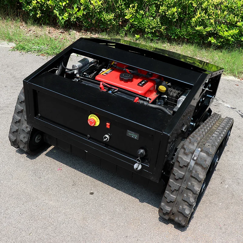 Customized Lawn Mow… - image