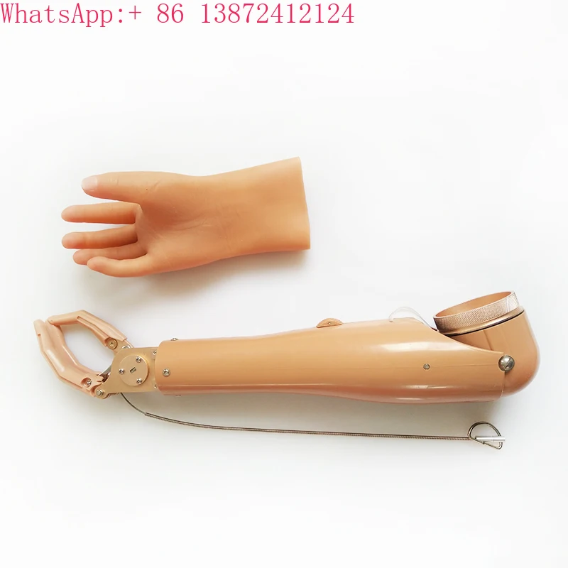 

Artificial Upper Limb Prosthesis Hand Prosthetic Arm Cable Controlled Mechanical Hand for AE
