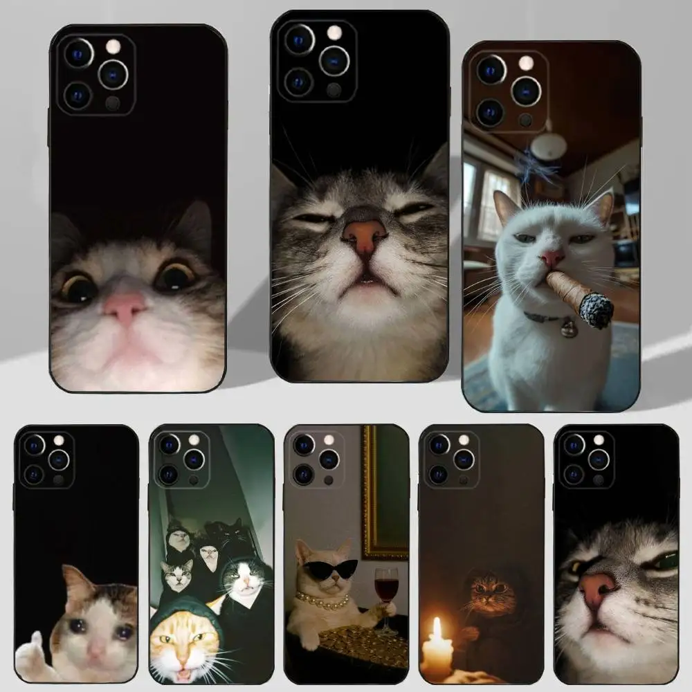

Ctue Memes Cat Phone Case For iPhone 16,15,14,13,12,11 Plus,Pro Max,XS,X,XR,SE,Mini,8,7 Soft Silicone Black Cover