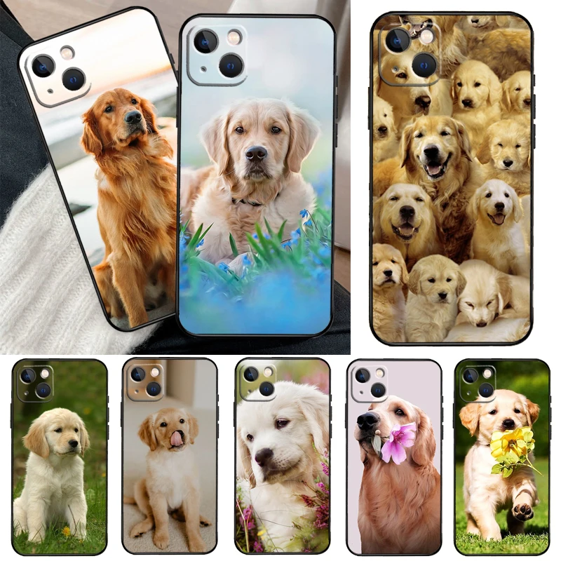 Golden Retriever Do… - image