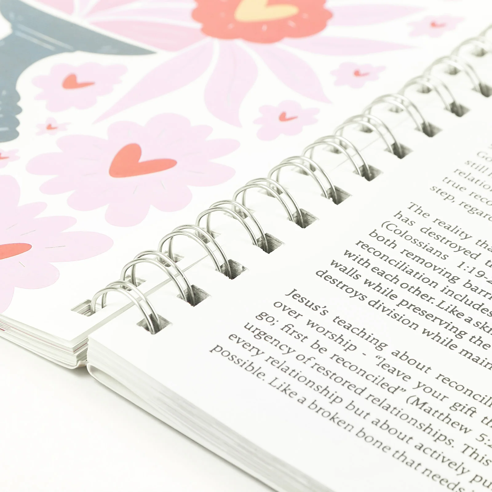 

Библия на год: Спиральный учебник для изучения Библии, многофункциональный