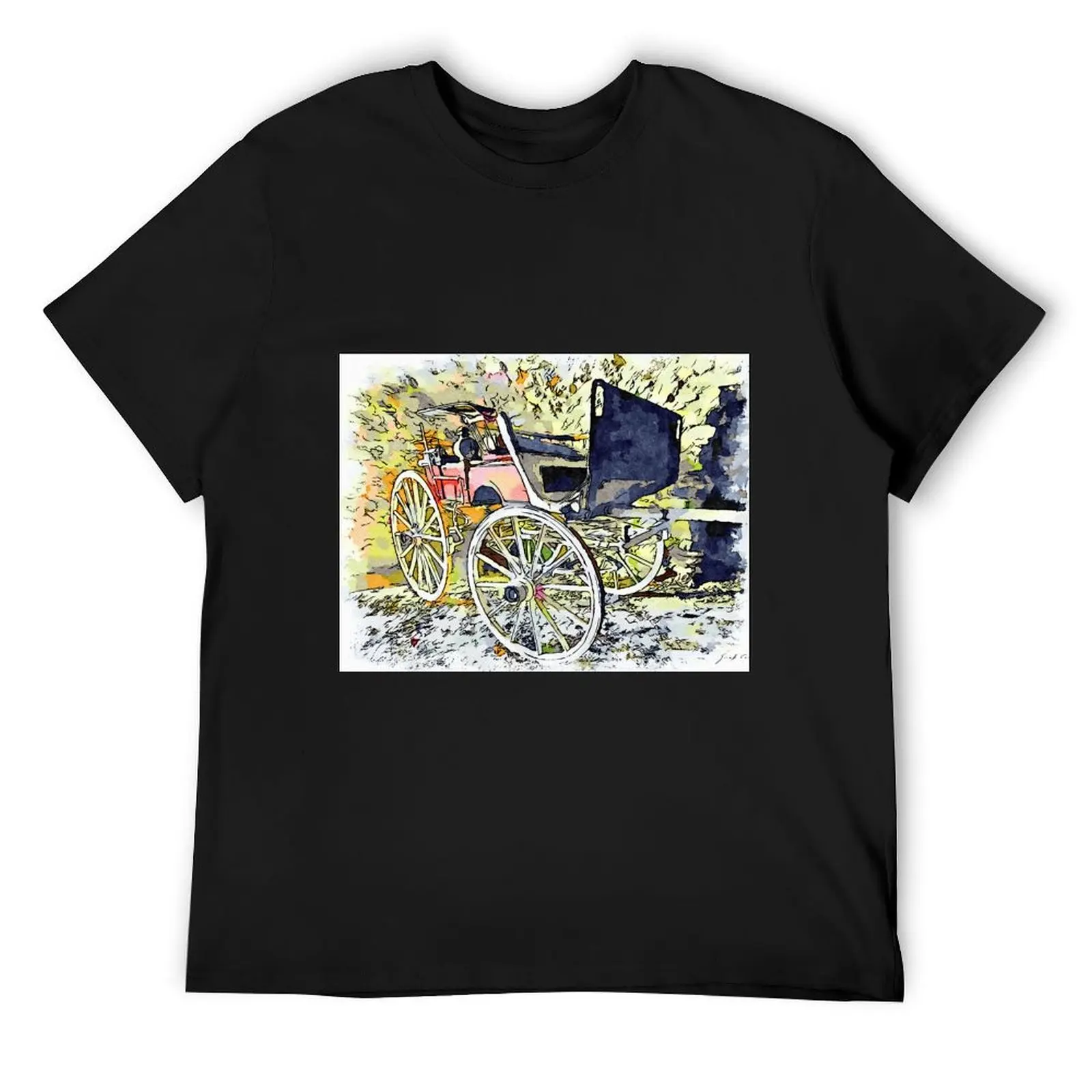 

Rocca Cilento: carriage T-Shirt vintage graphic tee vintage clothes graphic shirts t shirts for men