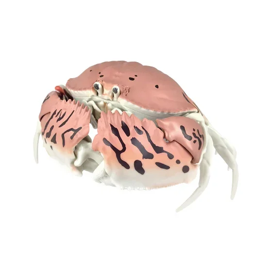 Bandai Gashapon Toys Crab Gashapon Series Simulation Model Crab Action Figure Ornaments Toys for Christmas