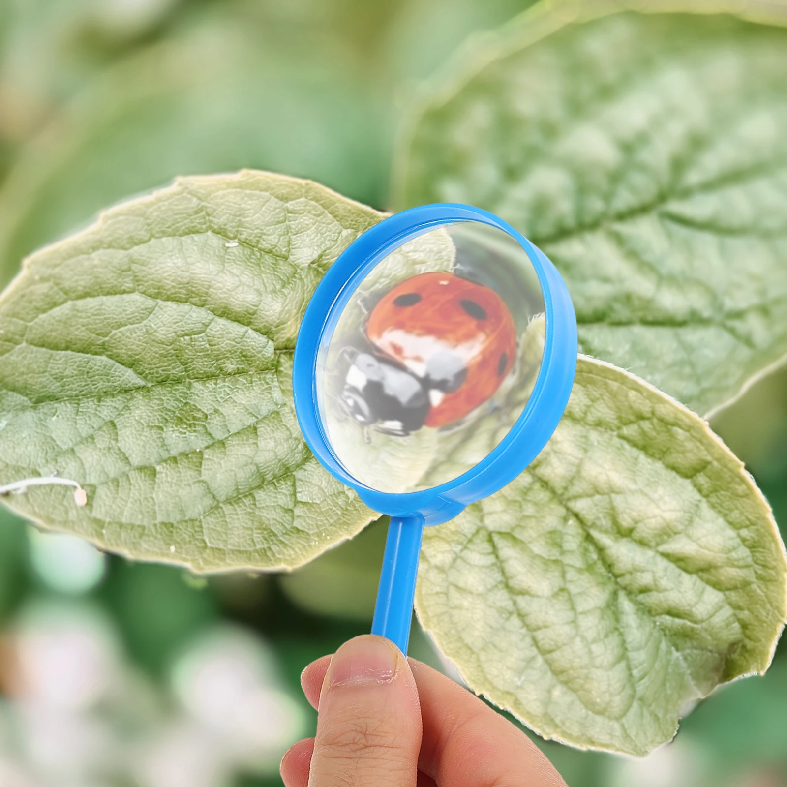 

6pcs Handheld Magnifying Glasses Kids Portable Plastic Magnifiers For Reading Outdoor Exploration Durable Colorful Tools Blue
