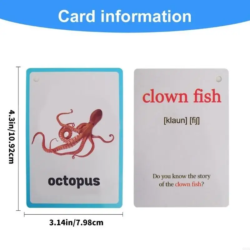 20sheet Sea Animal Vocabulary Flashcards بطاقات كلمات الحياة البحرية لرياض الأطفال #4