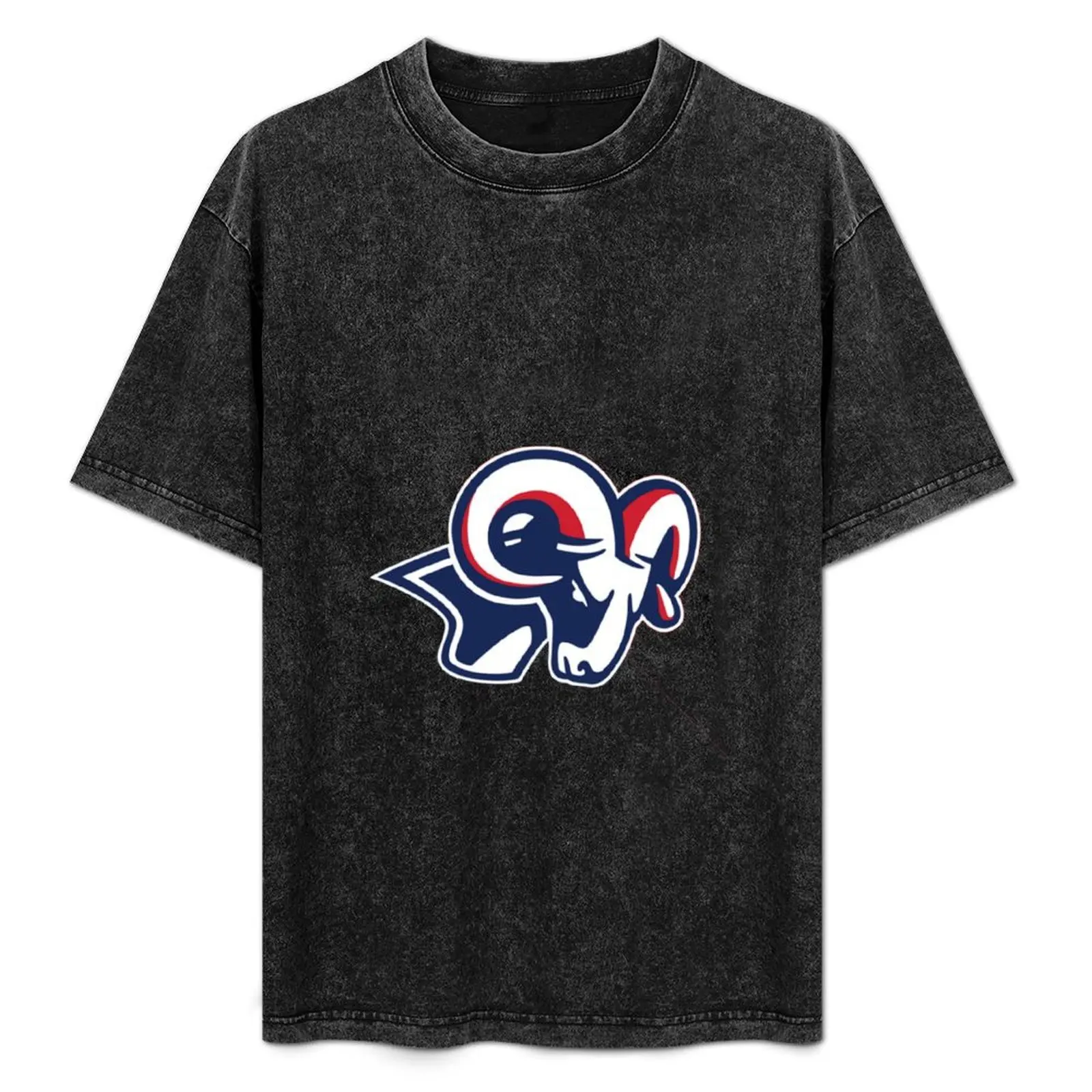 

Bluefield College Athletics T-Shirt Simple Graphic Design T-Shirt
