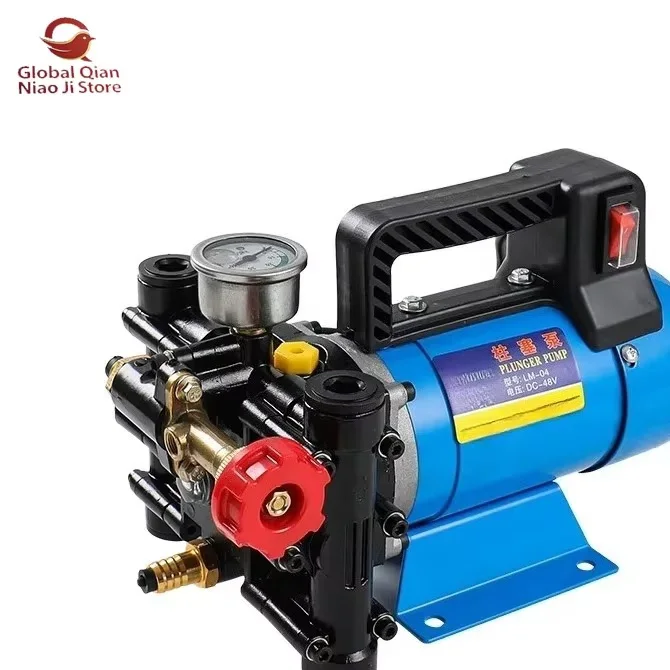 Electric Portable Sprayer for Agricultural Use Double-Cylinder Plunger Medicine Pump for Fruit Trees 12V/48V/60V/220V Options