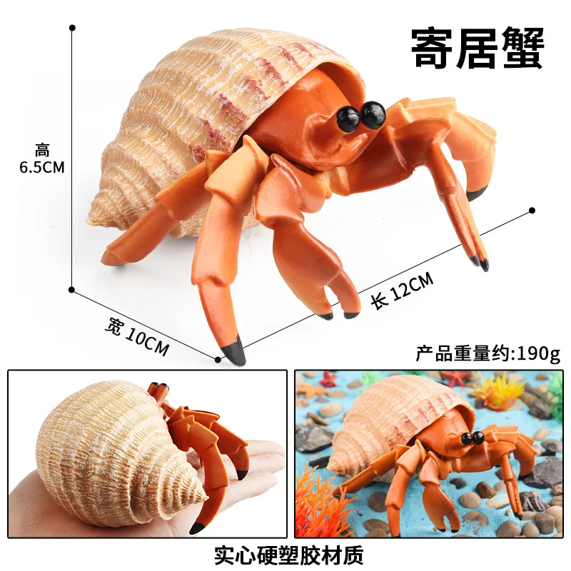 42 Types d'animaux de l'océan, Simulation de crabe ermite Nautiloidea, poulpe, modèle de vie marine, Figurines d'action, Collection, jouet cadeau