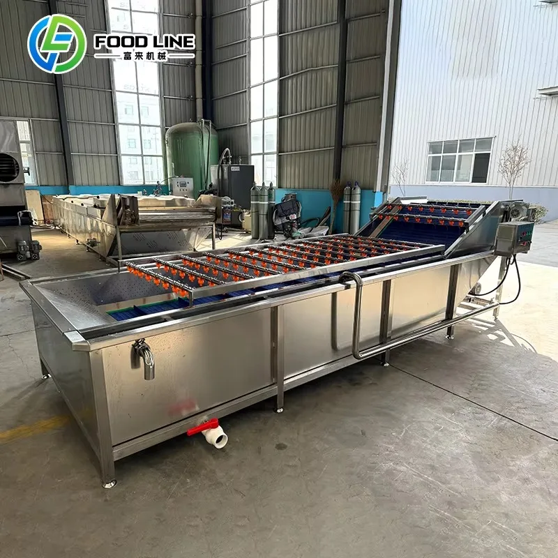 Bubble Cleaning Machine Automatic Fruit Vegetable Washer for Food Processing Factory and Central Kitchen