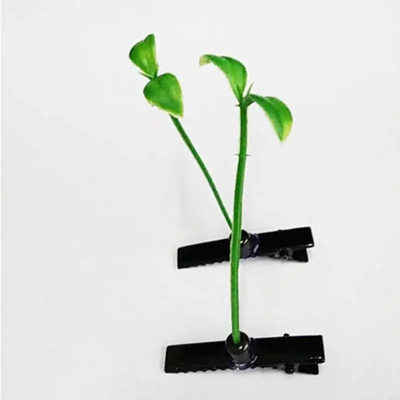 Y08C Clips canard cank