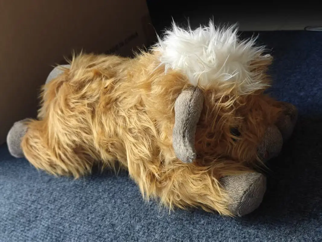 محاكاة المرتفعات البقرة الحيوان أفخم دمية لينة محشوة المرتفعات البقرة الماشية ألعاب من نسيج مخملي بلوشي هدية للأطفال بنين بنات #5